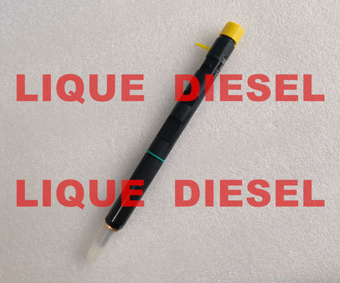 Injecteur Common Rail DELPHI EJBR05001D R05001D 320/06623 320-06623 32006623 fournisseur