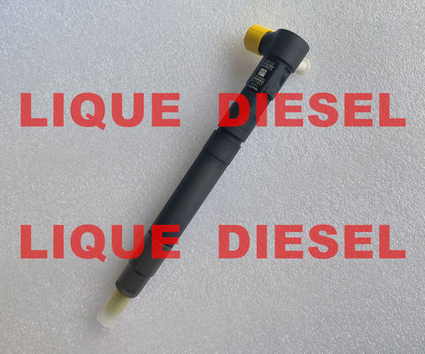 DELPHI EMBR00301D Injecteur à rail commun R00301D 6710170121 A6710170121 pour SSANGYONG Korando fournisseur