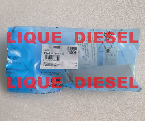 BOSCH F00RJ03556 Soupape d'injecteur common rail F00RJ03556 F 00R J03 556 fournisseur