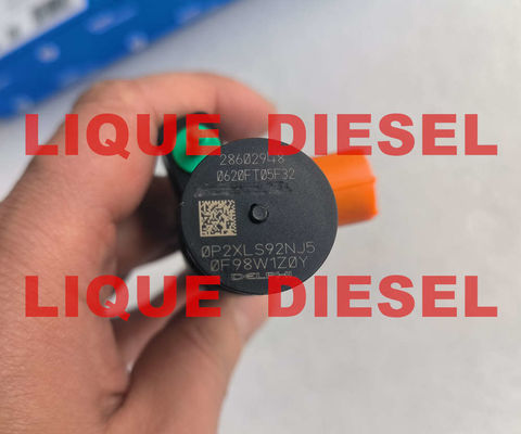 Injecteur Common Rail DELPHI 28602948 9674984080 28388960 28319895 fournisseur