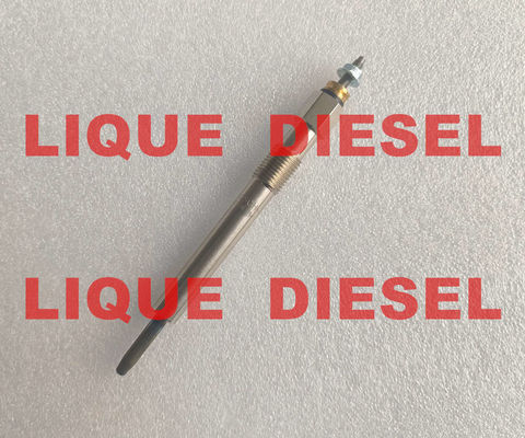 BOSCH Glow plug 0250202136 3770100-E06 0 250 202 136 3770100E06  for Great Wall 2.8TC fournisseur