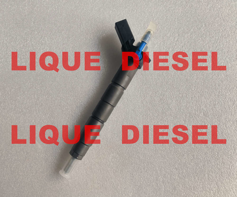 BOSCH fuel injector 0445117047 0445117048  0445117 047 0445117 048 445117047 445117048 fournisseur