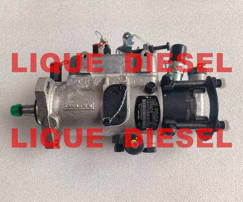 Pompe à carburant DELPHI 3348F212G pompe à rail commun fournisseur