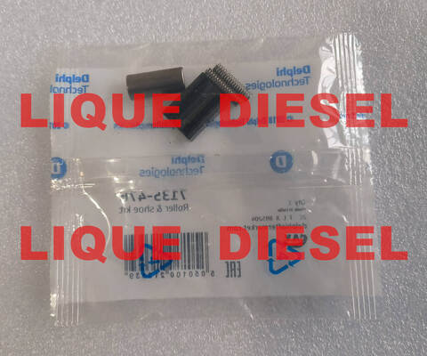 DELPHI Ensemble de chaussures à roulettes 7135-476 7135476 7135 476 fournisseur