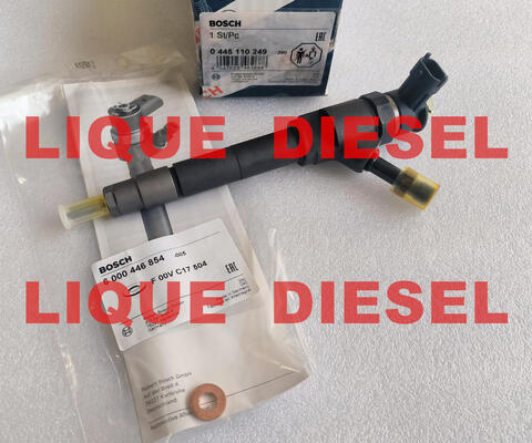 Injecteur à rampe commune 0445110249 0 445 110 249 0445 110 249 pour BT50 WE01-13-H50A WE0113H50A fournisseur