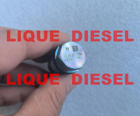 Vanne de décharge de pression authentique 1110010024 1 110 010 024 fournisseur