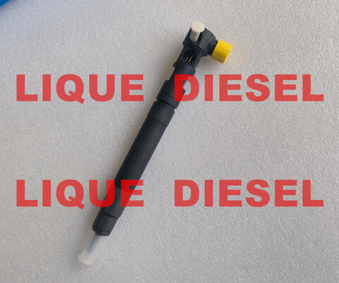 Genuine EMBR00301D fuel injector EMBR00301D R00301D 6710170121 A6710170121 fournisseur