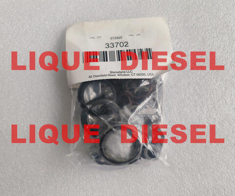 Kit de joints authentique 33702 Kits de réparation 33702 fournisseur