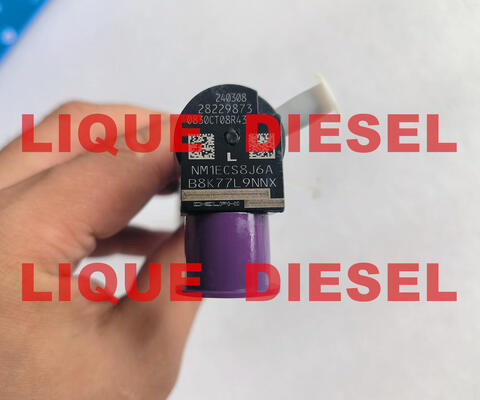 INJECTEUR 33800-4A710 28229873 Injecteur Common Rail 4A710 28229873 33800 4A710 338004A710 fournisseur