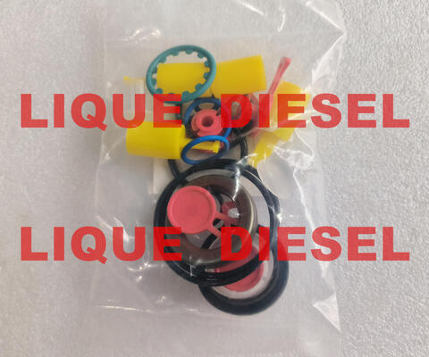 Kits de réparation de pompe CP4 d'origine, kits de révision de pompe CP4 pour pompe 0445010507 0445010543 0445010546 fournisseur