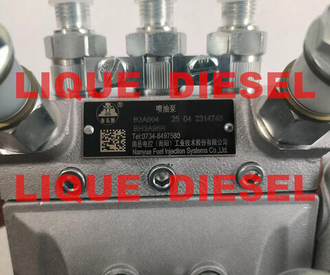 Pompes à carburant d'origine B3A504 BH3A95R fournisseur