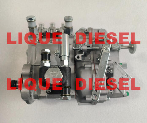 Pompes à carburant d'origine B3A504 BH3A95R fournisseur
