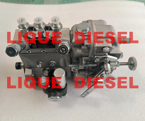 Pompes à carburant d'origine B3A504 BH3A95R fournisseur