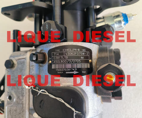 La pompe à carburant d'origine 3062F075 3062F075-12B1 V3062F075W-2 fournisseur