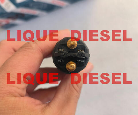 Injecteur Common Rail authentique 0445120196 0 445 120 196 445120196 0445 120 196 fournisseur