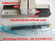 DELPHI Common Rail Injector EJBR05001D, R05001D, 320/06623, 320-06623 fournisseur