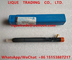 DELPHI Common Rail Injector 28280576, EJBR05701D, R05701D véritable et nouveau fournisseur