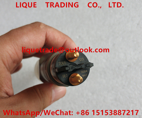 Injecteur commun 0445120123, 0 445 120 123, 4937065, 0445 120 123, 445120123 de rail de BOSCH fournisseur