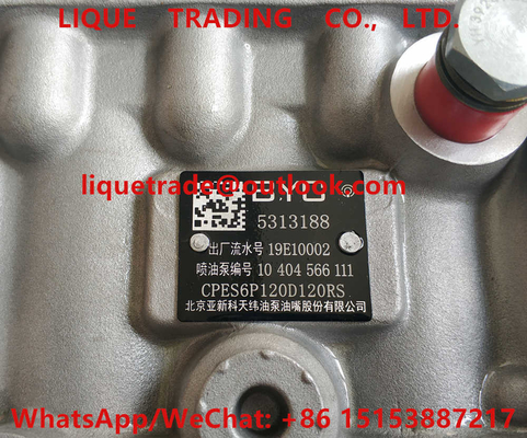 Pompe à essence de Cummins 5313188, POMPE 5313188 de BYC fournisseur