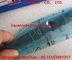 DELPHI Common Rail Injector EJBR05501D, R05501D pour KIA 33800-4X450, 338004X450 fournisseur