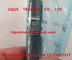 DELPHI Fuel Injector EJBR05001D, R05001D, 320/06623, 320-06623, 32006623 fournisseur