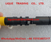 Injecteur EJBR03301D, R03301D de rail de DELPHI Common pour des moteurs du transit 2.8L/Jiangling de JMC fournisseur