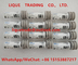 DELPHI Common Rail Injector Nozzle L229PBC, L229, BEC 229, 229PBC fournisseur