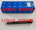 DELPHI Fuel Injector 28337917, 400903-00074D, 400903-00074C, 40090300074D, 40090300074C pour DOOSAN fournisseur