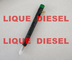 DELPHI Fuel Injector EJBR03001D, R03001D, 33800-4X900, 33801-4X900, 3001D fournisseur