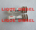 DELPHI Common Rail Injector Nozzle L311PBC, L311, BEC 311 fournisseur