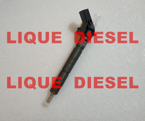 Injecteur de carburant piézo-électrique 0445116048 de Bosch 0445116049 pour HYUNDAI et KIA 33800 3A100, 33800-3A100, 338003A100 fournisseur